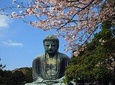 Kamakura Private Custom Tour