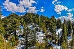 Full-Day Private Tour to Qadisha Valley, Bcharre and Cedars