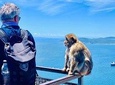 Tours of Gibraltar - STANDARD TOUR