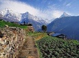 9 days Kids Friendly Lower Annapurna Royal Trek