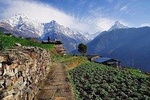 9 days Kids Friendly Lower Annapurna Royal Trek