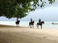 1 Hour Horse Riding Tour On The Beach Krabi