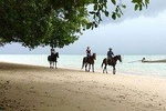 1 Hour Horse Riding Tour On The Beach Krabi