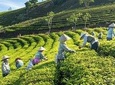 Private Da Lat 3 Days 2 Nights From Saigon