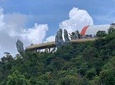 My Son Sanctuary Tour &Golden Bridge via Cable Car,Jungle from Da Nang or Hoi An