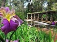 Perth Hills Explorer (Private) Day Tour