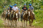 Horseback Ride to La Fortuna Waterfall