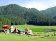 Nature and Village Hike in Dharamshala