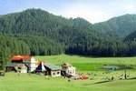 Nature and Village Hike in Dharamshala