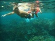 Bali: Padangbai Blue Lagoon Snorkeling Day Trip