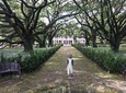  Whitney Plantation Tour with Transportation