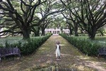  Whitney Plantation Tour with Transportation