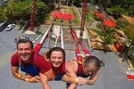 Roatan Sky Swing, City Tour & Beach Pass