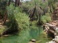 Half Day trip To Paradise Valley From Agadir