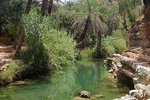 Half Day trip To Paradise Valley From Agadir