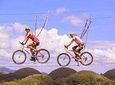 Bohol Tour with Bike Zip Adventure