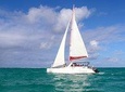 Catamaran cruise to Ile aux cerfs