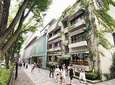 Essential tour for fashion and art in Tokyo for 6 hours with local lunch
