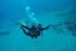 Discover Scuba Diving In Dahab