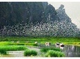 Ninh Binh – Van Long Wetland Reserve 2 Days 1 Night