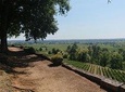 A day in Saint-Émilion and its Châteaux in a private tour (Van Luxe)