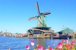 Volendam & Zaanse Schans Tour: Dutcher than Dutch