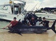 Golden Wave - Private Big Game Fishing Trip Half Day for 4people max