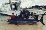 Golden Wave - Private Big Game Fishing Trip Half Day for 4people max