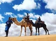 Agadir Camel Riding +Sunset and Dinner