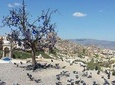 Istanbul or Antalya Izmir to Cappadocia 3Days With Hotair Balloon&domestc flight