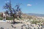 Istanbul or Antalya Izmir to Cappadocia 3Days With Hotair Balloon&domestc flight