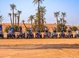Marrakech Quad Biking Tour