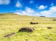 Poīke Peninsula: Full Day Private Hike