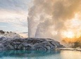 From Tauranga. Private Day Tour. "Te Puia" Geysers. Rotorua 