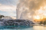  From Tauranga. Private Day Tour. "Te Puia" Geysers. Rotorua 