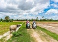 Siem Reap Countryside Vespa Tour - Inclusive local snacks