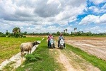 Siem Reap Countryside Vespa Tour - Inclusive local snacks