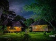 Yasuni National Park 3 days 2 nights in the Amazon of Ecuador,comfortable rooms 