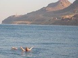 One Day Tour : Dead Sea, Madaba, Mount Nebo including lunch
