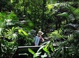 Penang Round Island Tour With Tropical Spice Garden & Entopia Butterfly Farm