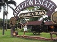 Appleton Estate Rum & Ys Falls Tour