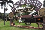 Appleton Estate Rum & Ys Falls Tour