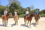 Horseback ride with atv, 6 zip lines, swim in cenote with lunch and transportation