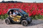 Drive it yourself electric Dahlia Flower Fields GPS audio tour