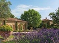 Provence Wine Tour - Private Day Tour from Cannes/Mougins 