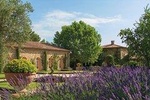 Provence Wine Tour - Private Day Tour from Cannes/Mougins 