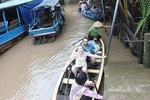 Mekong Delta Tour 1 day Private Car From Port