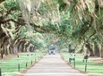 Boone Hall Plantation All-Access Admission Ticket