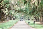 Boone Hall Plantation All-Access Admission Ticket