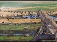 Full-Day Trip to Ngorongoro Crater from Arusha Town 